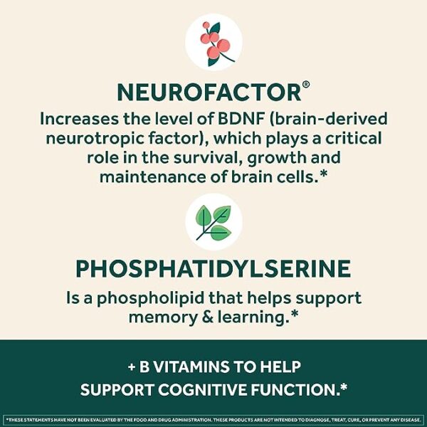 NEURIVA Plus Brain Supplement for Memory and Focus Clinically Tested Nootropics for Concentration for Mental Clarity - Image 4